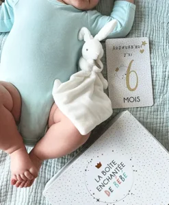 Coffret cadeau - Boîte enchantée de bébé Doudou et Compagnie X Albin Michel