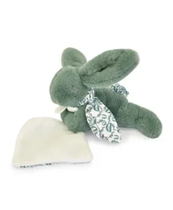 Lapin DOUDOU® - Peluche lapin Vert avec doudou assorti - 16 cm