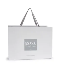 Sac Cadeau M
